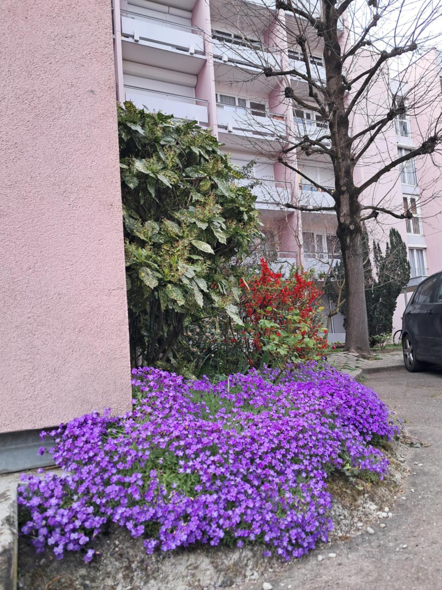 Kleber+ Parking+ Balcon Appartement Straatsburg